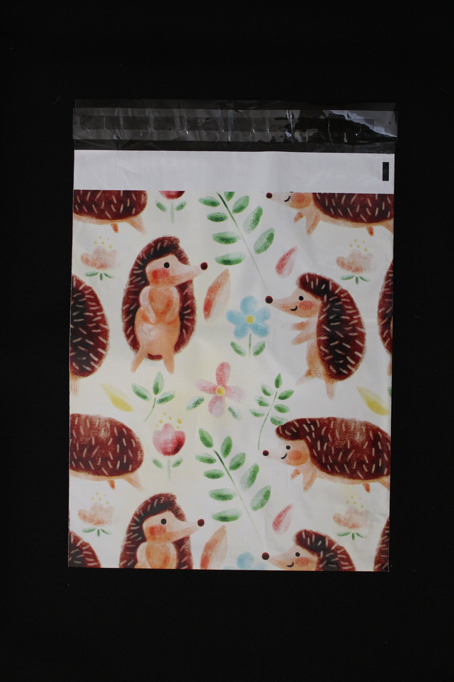 10x13 Hedgehog Designer Poly Mailers Shipping Envelopes Premium Printed Bags